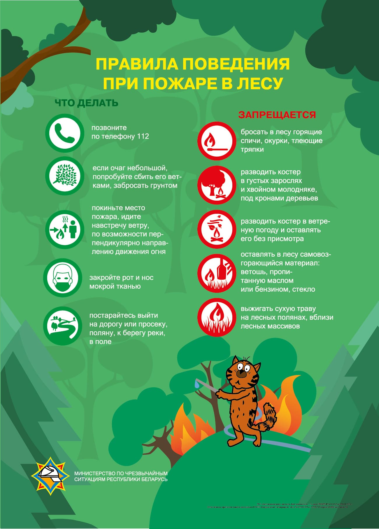 Листовка "Правила поведения при пожаре в лесу"